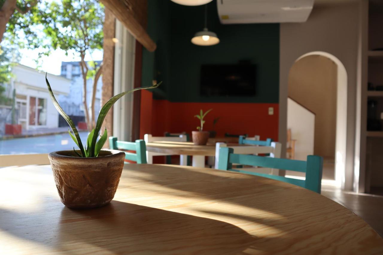 3B Wellness Hotel & Hostel Adults Only 普拉亚卡门 外观 照片