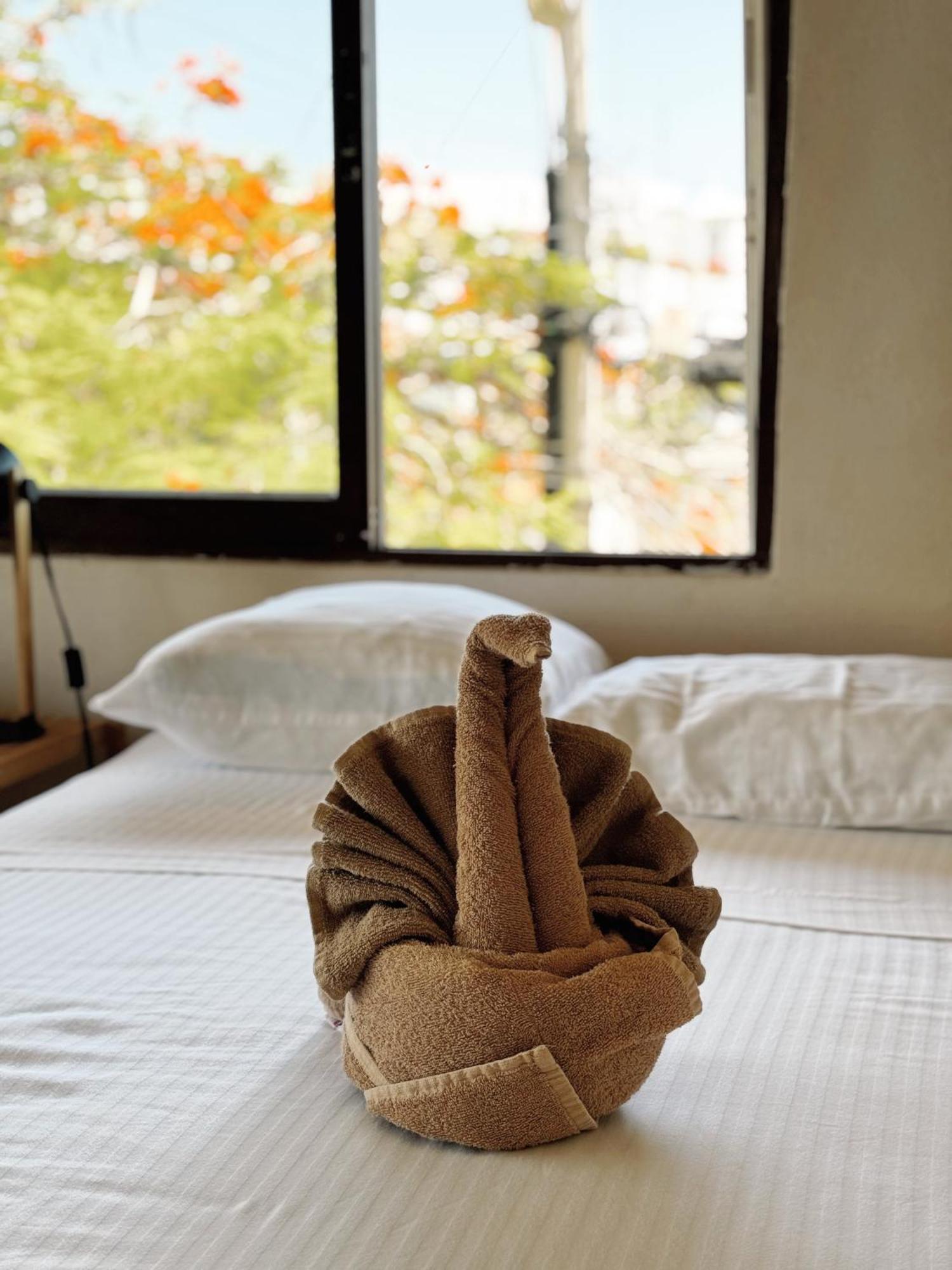 3B Wellness Hotel & Hostel Adults Only 普拉亚卡门 外观 照片